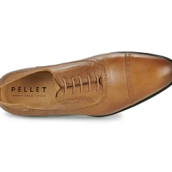 Pellet - ALEX