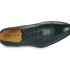 Pellet - ALEX
