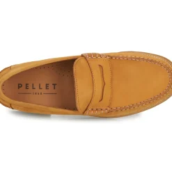 Pellet - BASILE