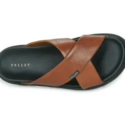 Pellet - FELIPE