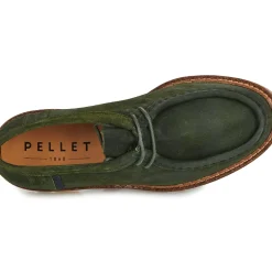 Pellet - MACHA