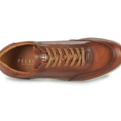Pellet - MARC
