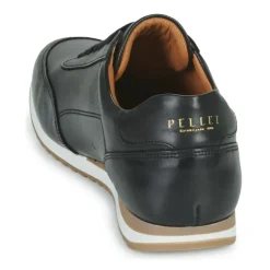 Pellet - MARC