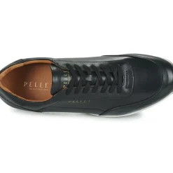 Pellet - MARC