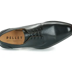 Pellet - SACHA