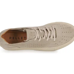 Pellet - SANDRON