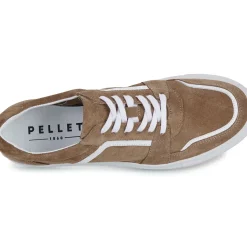 Pellet - SANDRY