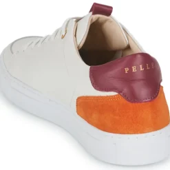 Pellet - SIMON