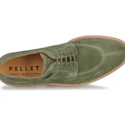 Pellet - VANESSA