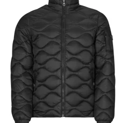Petrol Industries - MEN JACKET PADDED