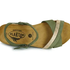 Plakton - NORTE