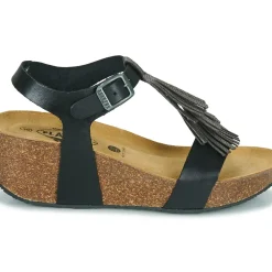 Plakton - SO TONKA