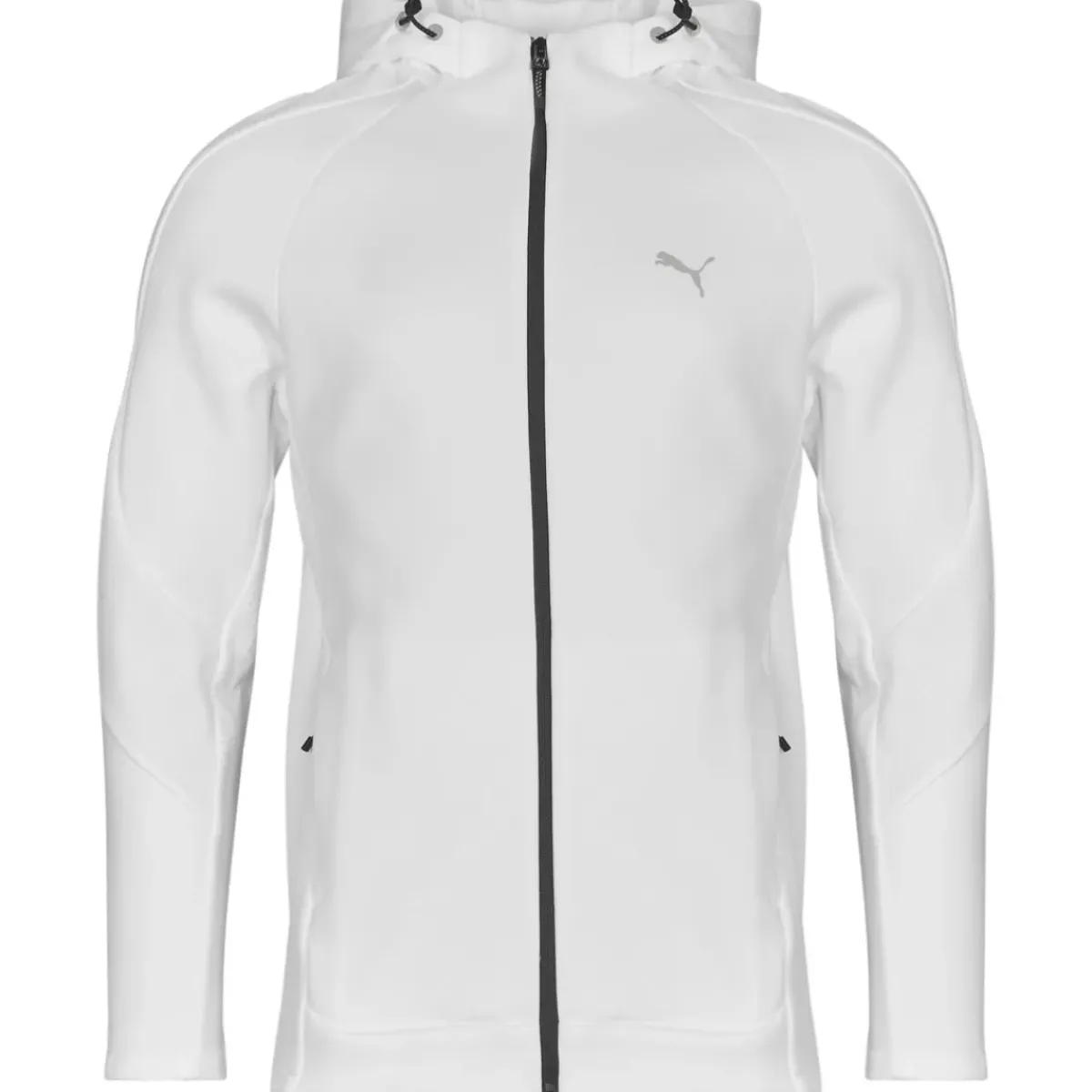 Puma - EVOSTRIPE FULL ZIP HOODIE