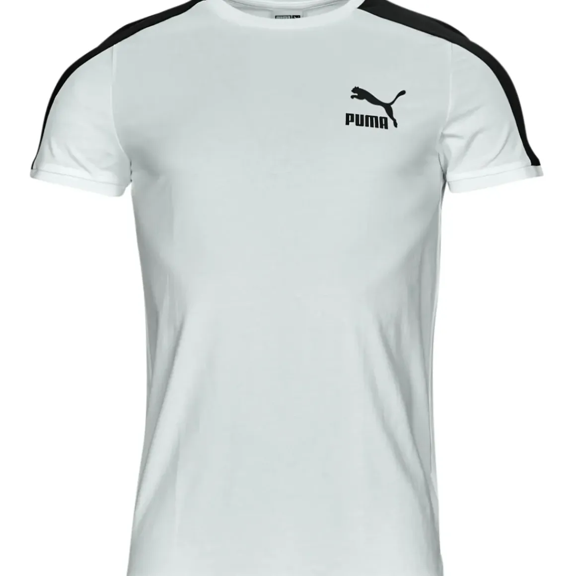 Puma - INLINE