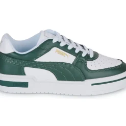 Puma - CA PRO