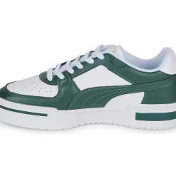 Puma - CA PRO