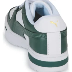 Puma - CA PRO