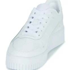 Puma - CARINA
