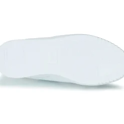 Puma - CARINA