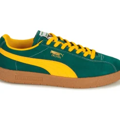 Puma - Delphin