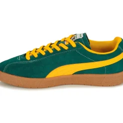 Puma - Delphin