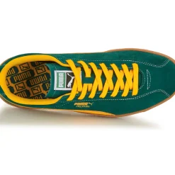 Puma - Delphin