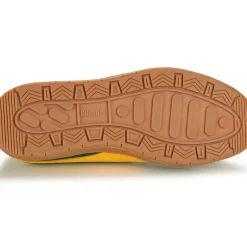 Puma - Delphin