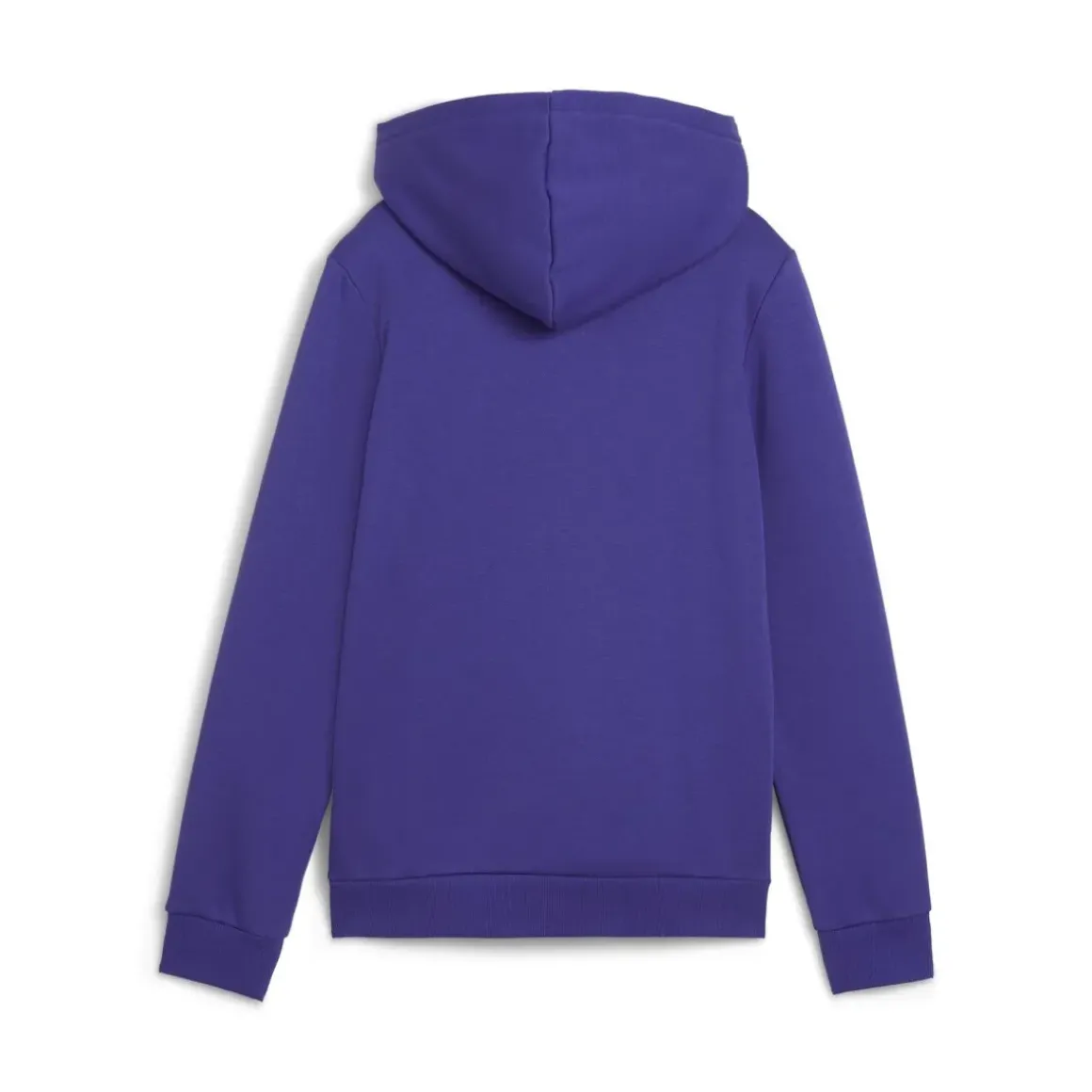 Puma - ESS+ CAMO HOODIE FL