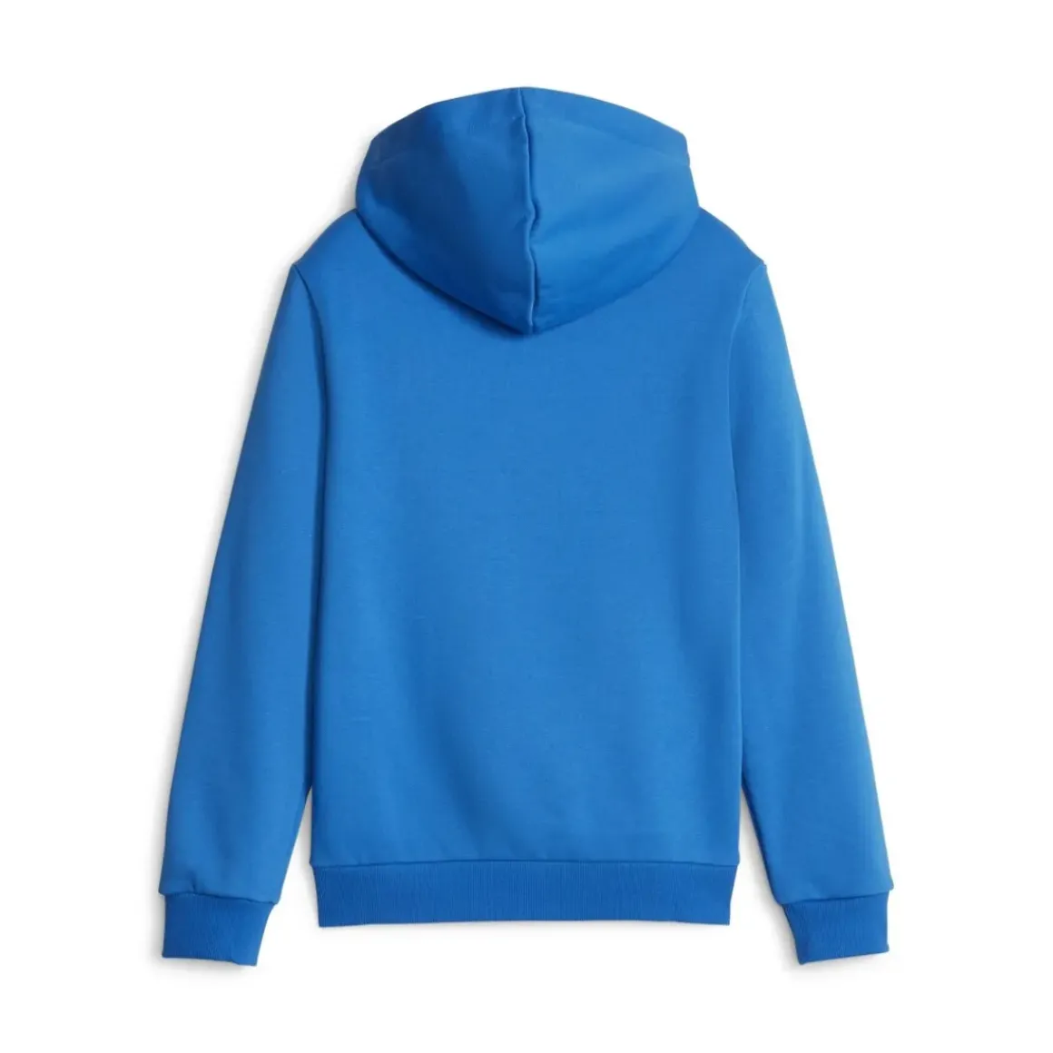 Puma - ESS 2 COL BIG LOGO HOODIE FL B