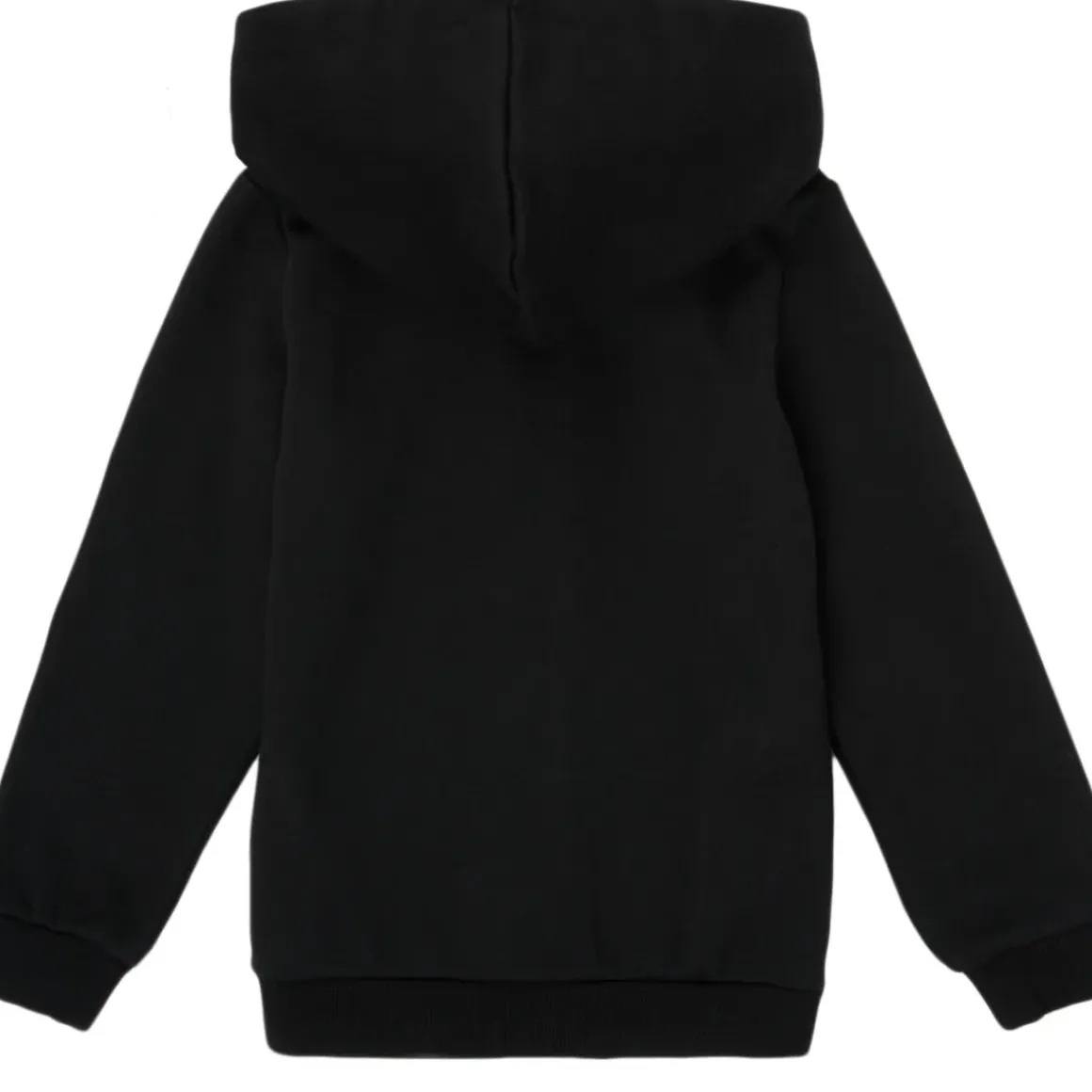 Puma - ESSENTIAL BIG LOGO FZ HOODIE