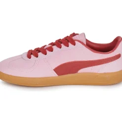 Puma - Palermo
