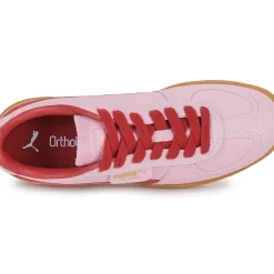 Puma - Palermo