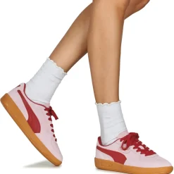 Puma - Palermo