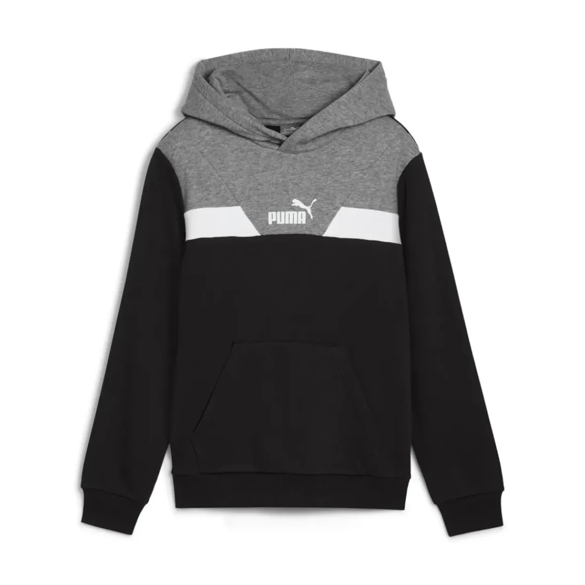 Puma - POWER COLORBLOCK HOODIE TR