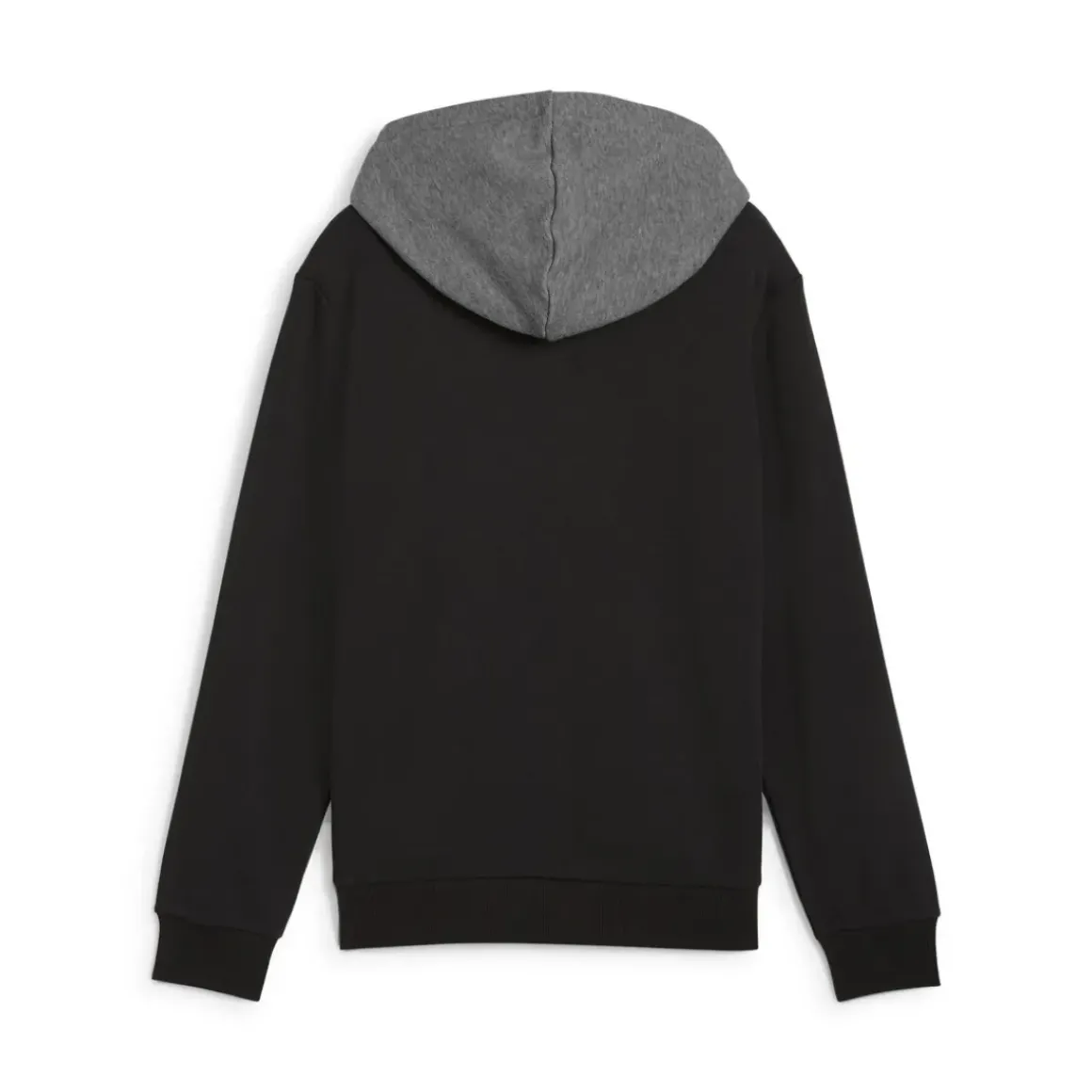 Puma - POWER COLORBLOCK HOODIE TR