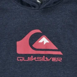 Quiksilver - BIG LOGO YOUTH