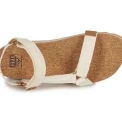 Reef - CUSHION REM HI