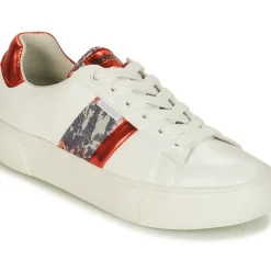 Refresh - 69954