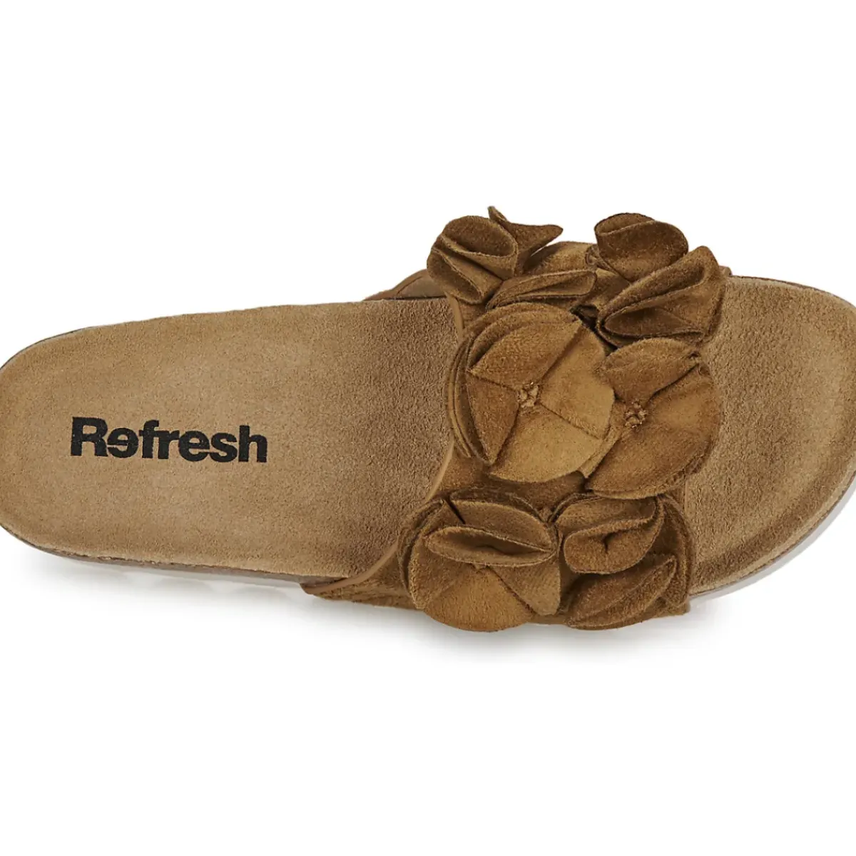 Refresh - 171719
