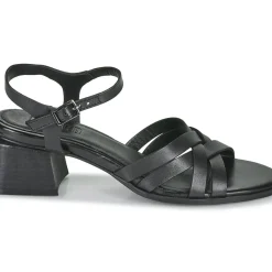 Regard - ET.EPI CRUST BLACK 2203