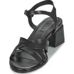 Regard - ET.EPI CRUST BLACK 2203