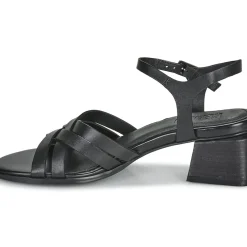 Regard - ET.EPI CRUST BLACK 2203