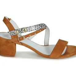 Regard - REFTA V1 ANTE CAMEL