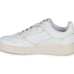 Schmoove - SMATCH TRAINER
