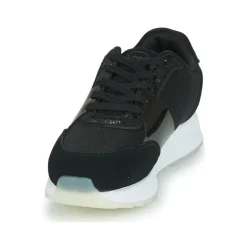 Scholl - BEYONCE'