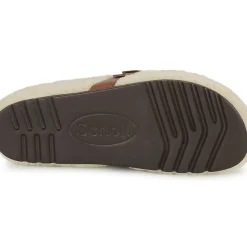 Scholl - CHARLOTTE