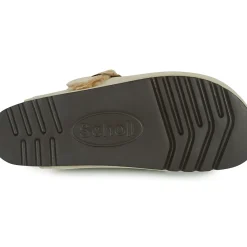 Scholl - FAE