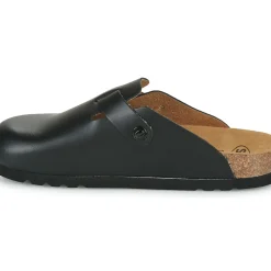 Scholl - FAE