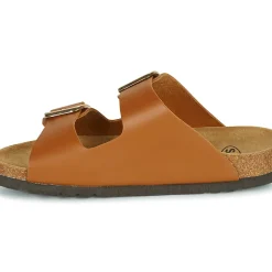 Scholl - NOELLE