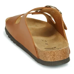 Scholl - NOELLE